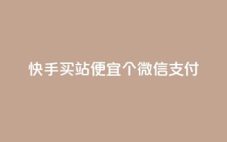 快手买站便宜100个微信支付,ks买赞自助下单下载 - qqc十年沉淀只做精品mba智库 - 免费领取的说说