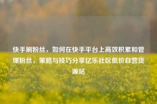 快手刷粉丝，如何在快手平台上高效积累和管理粉丝，策略与技巧分享亿乐社区低价自营货源站