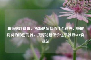 货源站超低价，货源站超低价什么意思，赚取利润的秘密武器，货源站超低价亿乐社区SUP货源站
