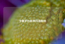 卡盟平台官网抖音粉丝