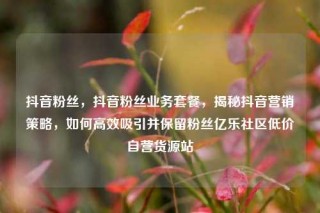 抖音粉丝，抖音粉丝业务套餐，揭秘抖音营销策略，如何高效吸引并保留粉丝亿乐社区低价自营货源站