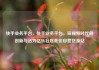 快手业务平台，快手业务平台，短视频时代的创新与活力亿乐社区低价自营货源站