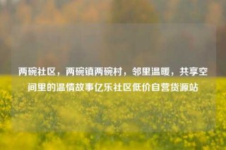 两碗社区，两碗镇两碗村，邻里温暖，共享空间里的温情故事亿乐社区低价自营货源站