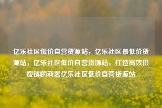 亿乐社区低价自营货源站，亿乐社区最低价货源站，亿乐社区低价自营货源站，打造高效供应链的利器亿乐社区低价自营货源站