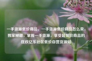 一手货源低价商品，一手货源低价商品怎么卖，独家秘籍，掌握一手货源，享受超低价商品的狂欢亿乐社区低价自营货源站