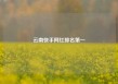 云南快手网红排名第一