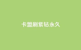 卡盟刷紫钻永久 - 永久刷紫钻的卡盟推广效果如何？。