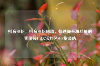 抖音涨粉，抖音涨粉秘籍，快速提升粉丝量的实用技巧亿乐社区SUP货源站