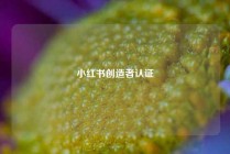 小红书创造者认证