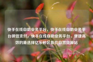 快手在线自助业务平台，快手在线自助业务平台微信支付，快手在线自助业务平台，便捷高效的新选择亿乐社区低价自营货源站