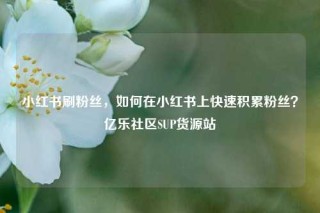 小红书刷粉丝，如何在小红书上快速积累粉丝？亿乐社区SUP货源站