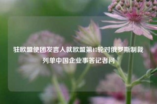 驻欧盟使团发言人就欧盟第17轮对俄罗斯制裁列单中国企业事答记者问