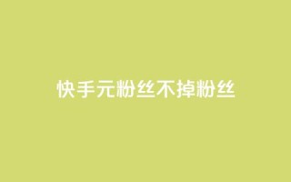 快手1元3000粉丝不掉粉丝 - 快手粉丝增长神器，1元即可获得3000真实粉丝，持久稳定！~