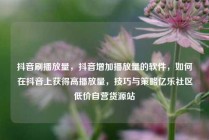 抖音刷播放量，抖音增加播放量的软件，如何在抖音上获得高播放量，技巧与策略亿乐社区低价自营货源站