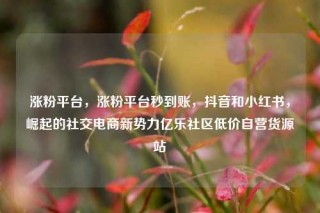 涨粉平台，涨粉平台秒到账，抖音和小红书，崛起的社交电商新势力亿乐社区低价自营货源站
