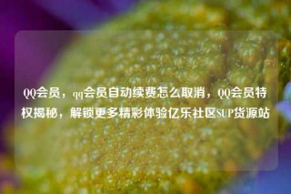 QQ会员，qq会员自动续费怎么取消，QQ会员特权揭秘，解锁更多精彩体验亿乐社区SUP货源站
