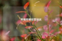 哔哩哔哩经营状况