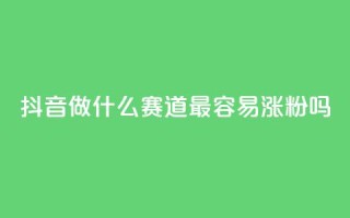 抖音做什么赛道最容易涨粉吗 - 利云卡盟