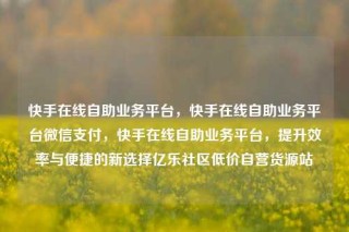 快手在线自助业务平台，快手在线自助业务平台微信支付，快手在线自助业务平台，提升效率与便捷的新选择亿乐社区低价自营货源站