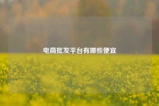 电商批发平台有哪些便宜