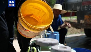 甘肃多地发生旱情，三大骨干工程已累计调水2.45亿立方米