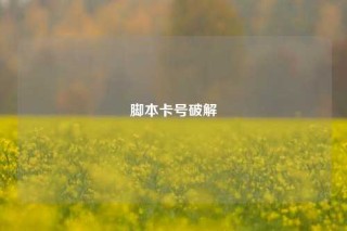 脚本卡号破解