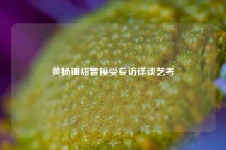 黄杨钿甜曾接受专访详谈艺考