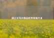 浙江义乌小商品批发市场大全