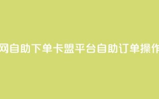 卡盟平台官网自助下单 - 卡盟平台自助订单操作指南。