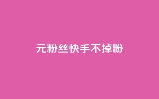 1元3000粉丝快手不掉粉 - 1元在快手增加3000粉丝，轻松不流失!