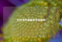 小红书作者服务平台官网