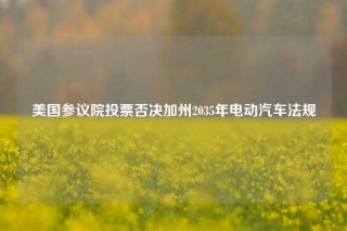 美国参议院投票否决加州2035年电动汽车法规