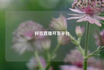 抖音直播开发平台