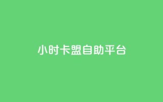 24小时卡盟自助平台 - 24小时自助卡盟平台规划指南!