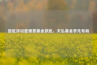 首批浮动管理费基金获批，天弘基金率先布局