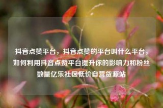 抖音点赞平台，抖音点赞的平台叫什么平台，如何利用抖音点赞平台提升你的影响力和粉丝数量亿乐社区低价自营货源站