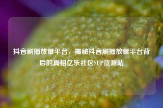 抖音刷播放量平台，揭秘抖音刷播放量平台背后的真相亿乐社区SUP货源站