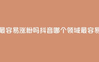 抖音做什么赛道最容易涨粉吗 - 抖音哪个领域最容易吸引粉丝？~