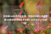 抖音刷1000粉丝网站免费，如何在抖音上快速积攒1000粉丝并实现免费变现？亿乐社区SUP货源站