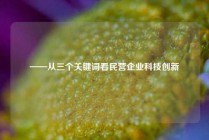 ——从三个关键词看民营企业科技创新