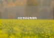 小红书评论有用吗