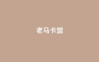 老马卡盟 - 老马卡盟：提升网站SEO效果的有效工具。