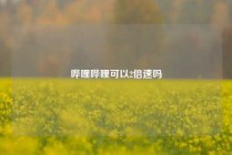 哔哩哔哩可以2倍速吗