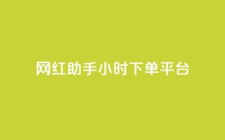 网红助手24小时下单平台,dy自助商城 - 快手点赞秒到账便宜 - 抖音1元1000赞