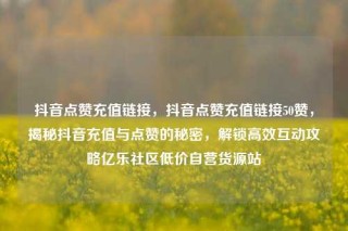 抖音点赞充值链接，抖音点赞充值链接50赞，揭秘抖音充值与点赞的秘密，解锁高效互动攻略亿乐社区低价自营货源站