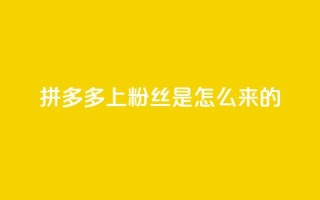 拼多多上粉丝是怎么来的,免费点赞超级便宜网站 - 抖音怎么清理虚假粉丝 - qq赞在线自助下单网站