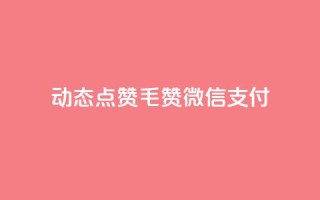 qq动态点赞1毛10000赞微信支付 - 微信支付：海量用户秒赞qq动态，1毛即可获得10000赞！。