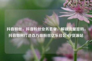 抖音粉丝，抖音粉丝业务套餐，解锁流量密码，抖音如何打造百万级粉丝亿乐社区SUP货源站