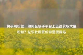 快手刷粉丝，如何在快手平台上迅速获取大量粉丝？亿乐社区低价自营货源站