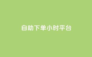 自助下单24小时平台ks - 24小时自助下单平台ks：简单又方便。